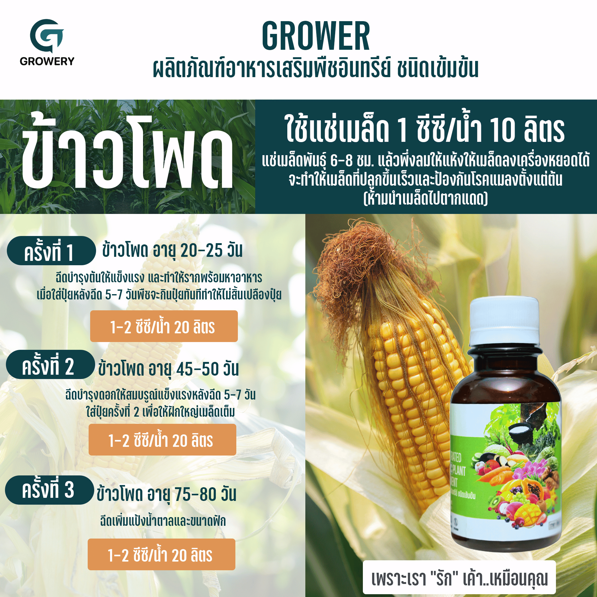 แนะนำการใช้ Growery ตามชนิดพืช 2