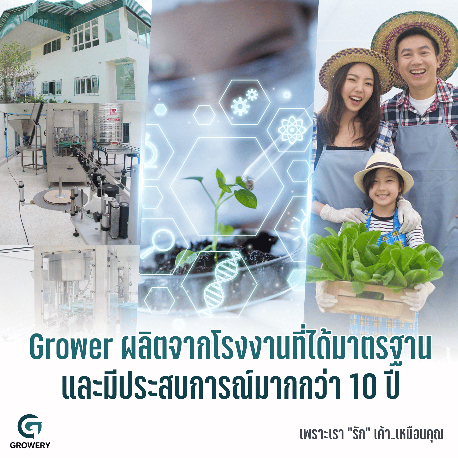 โรงงานและมาตรฐานการผลิต Growery 1
