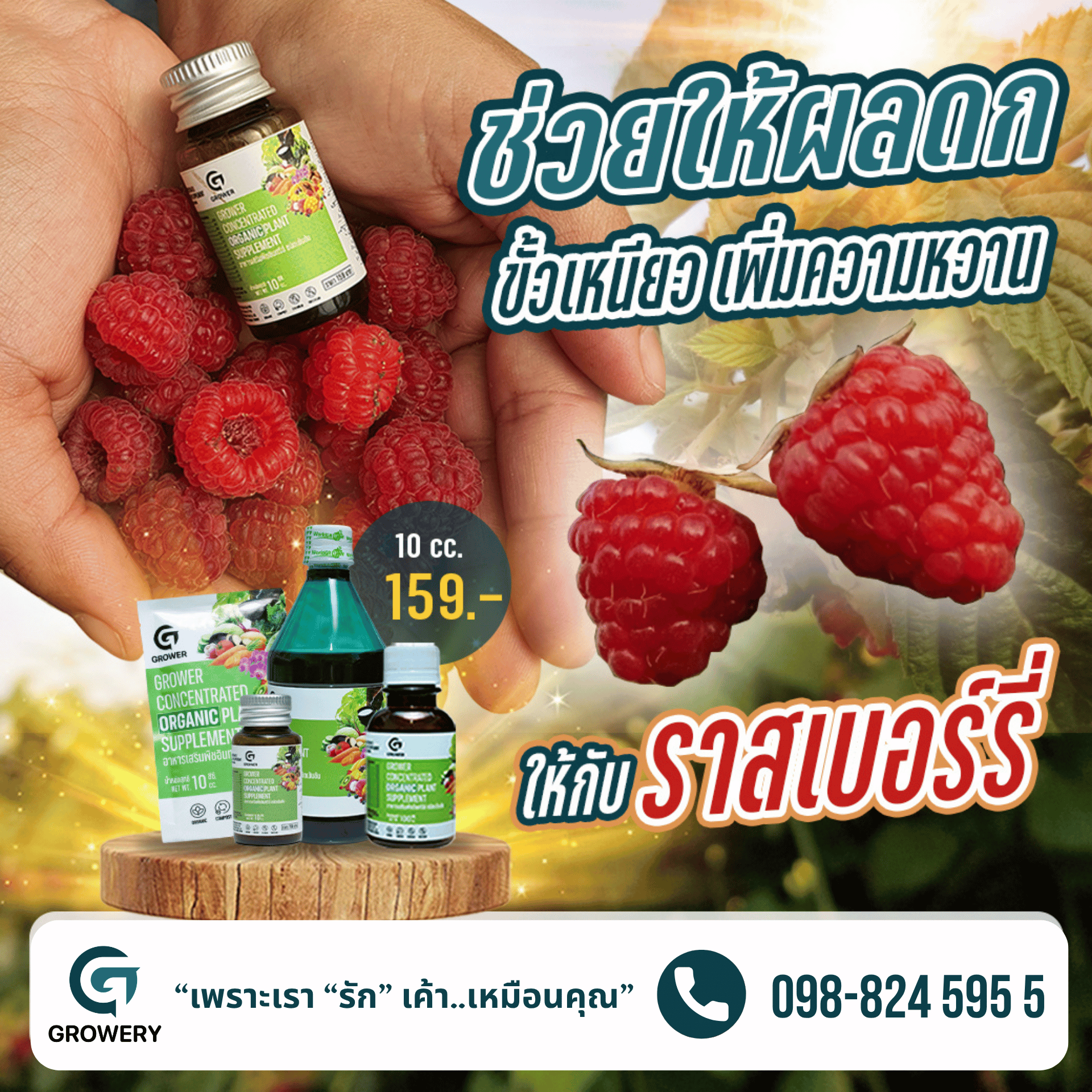 Growery ผู้ช่วยเกษตรกร 2