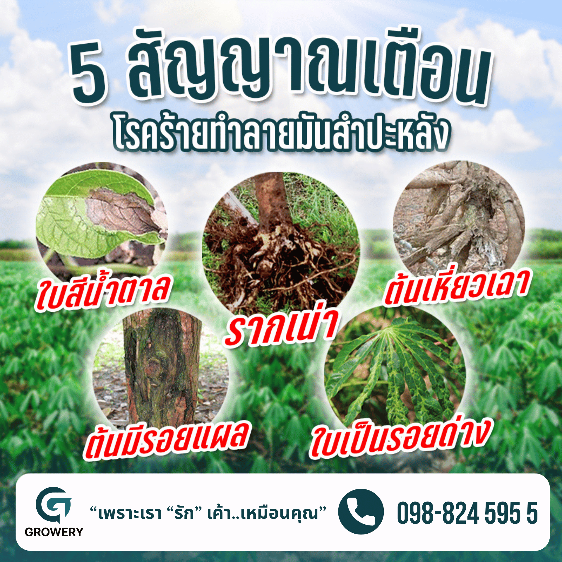 Growery ผู้ช่วยเกษตรกร 3