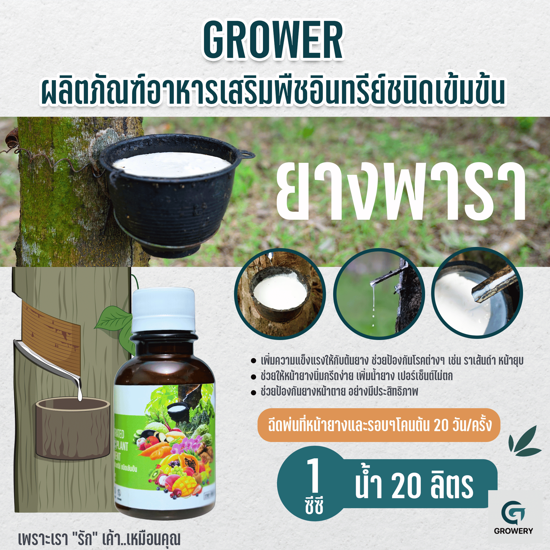 Growery ผู้ช่วยเกษตรกร 6