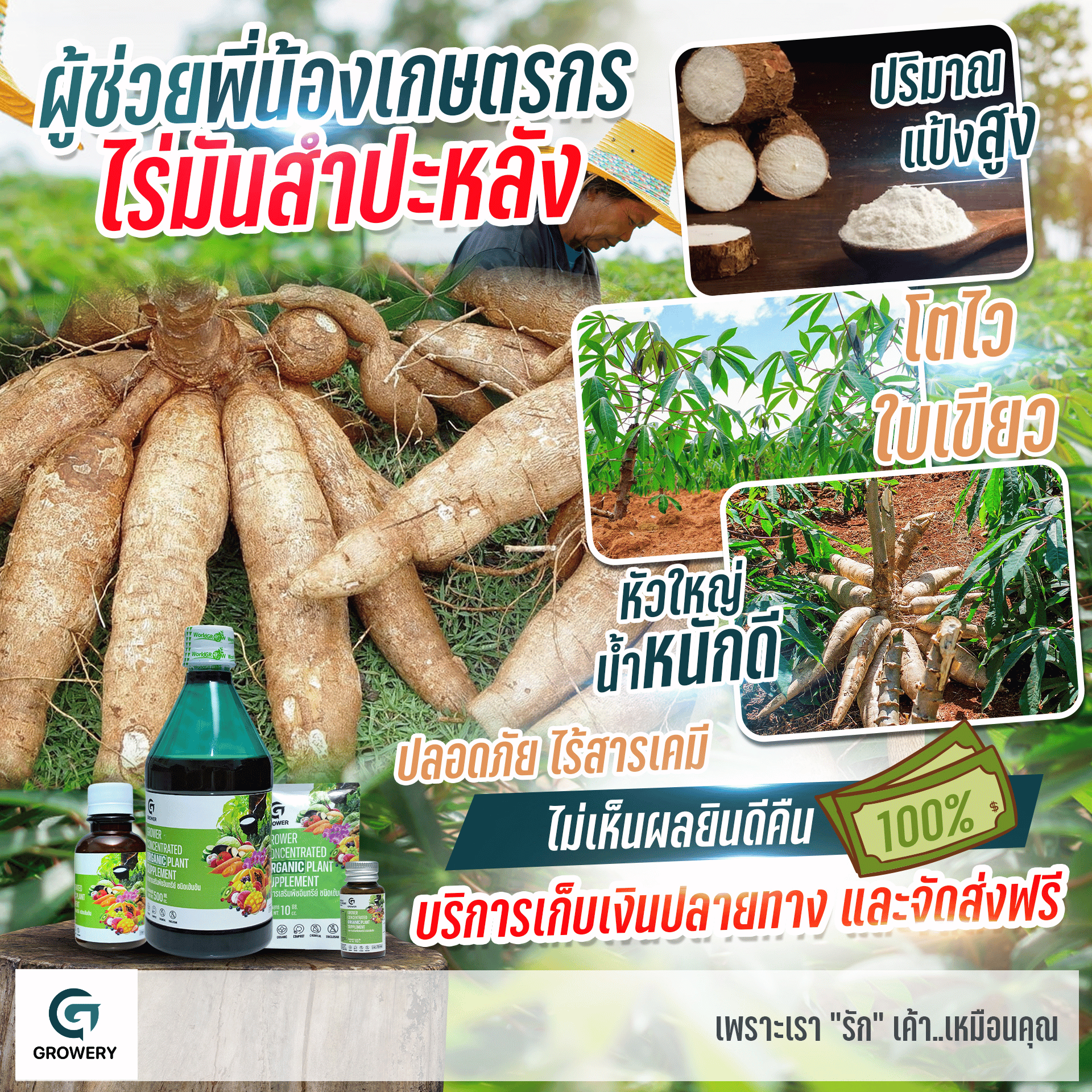 อาหารเสริมพืชอินทรีย์เข้มข้น Growery 6