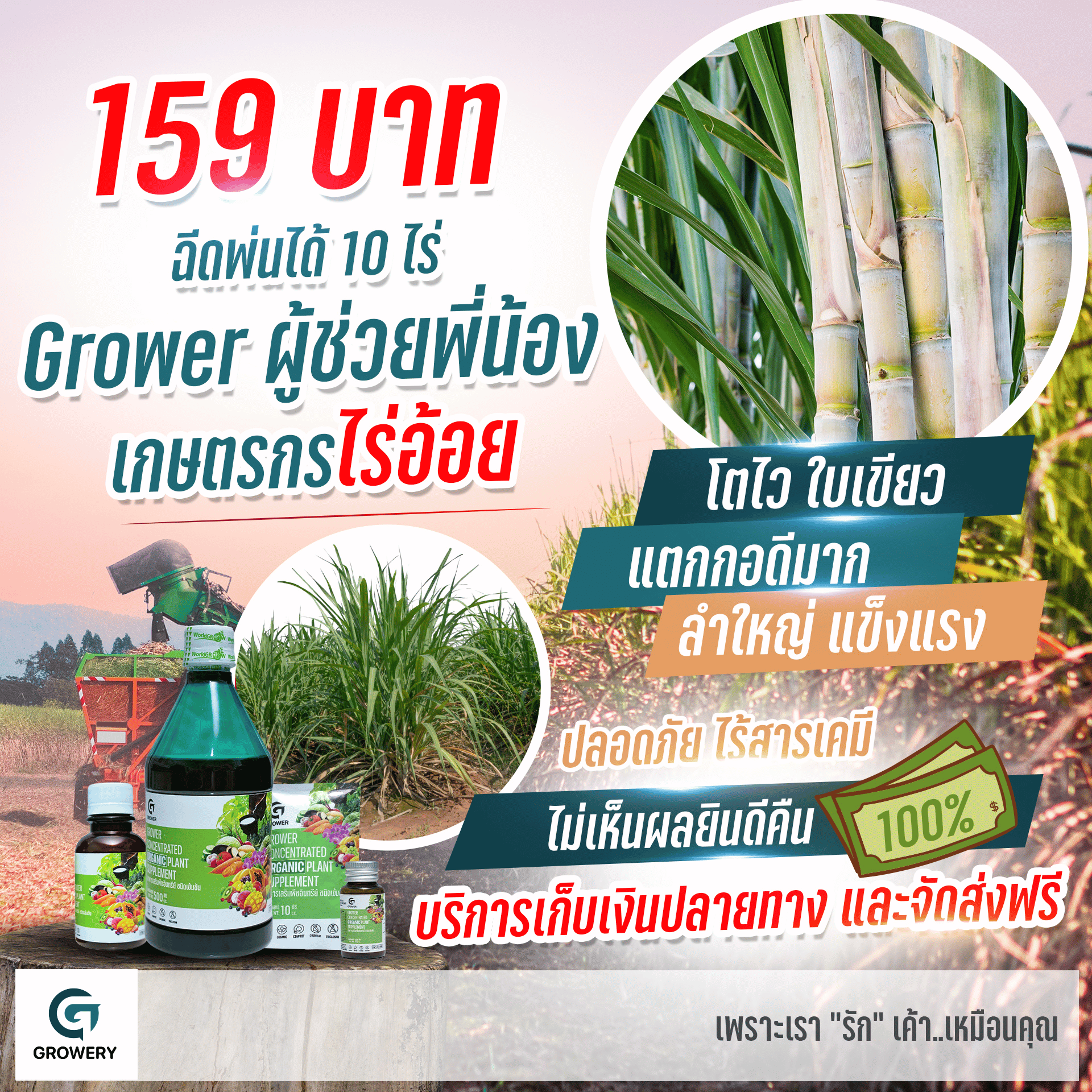 อาหารเสริมพืชอินทรีย์เข้มข้น Growery 8